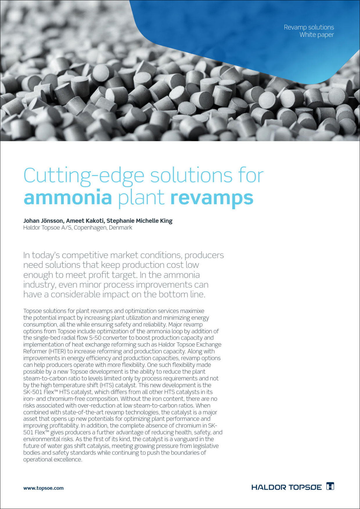  Cutting-edge solutions for ammonia plant revamps