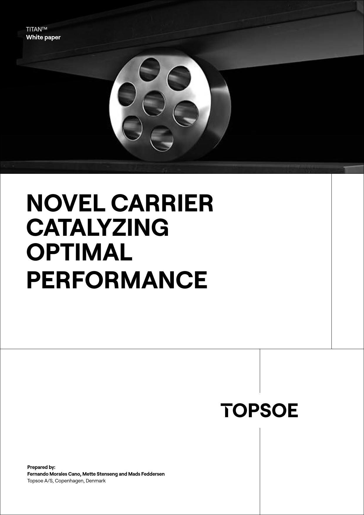 Novel carrier catalyzing optimal performance